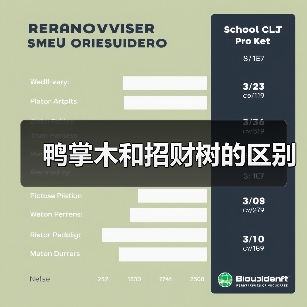 鸭掌木和招财树的区别(图4) 鸭掌木和招财树的区别(图4)