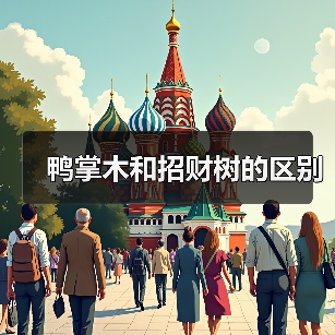鸭掌木和招财树的区别(图2) 鸭掌木和招财树的区别(图2)