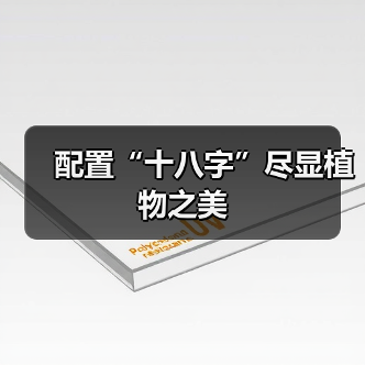 配置“十八字”尽显植物之美（图2）