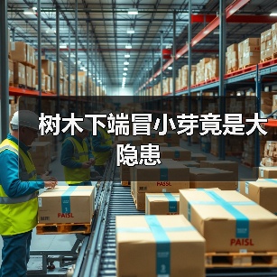树木下端冒小芽竟是大隐患（图2）