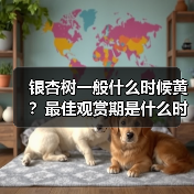 银杏树一般什么时候黄？最佳观赏期是什么时候？附观赏地点（图4）