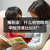 搬新家：什么植物吸收甲醛效果比较好？（图3）