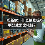 搬新家：什么植物吸收甲醛效果比较好？（图2）