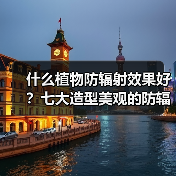 什么植物防辐射效果好？七大造型美观的防辐射植物介绍（图3）