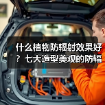 什么植物防辐射效果好？七大造型美观的防辐射植物介绍（图2）