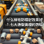 什么植物防辐射效果好？七大造型美观的防辐射植物介绍（图4）