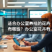 适合办公室养殖的花卉有哪些？办公室花卉有什么忌讳？（图3）