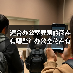 适合办公室养殖的花卉有哪些？办公室花卉有什么忌讳？（图4）