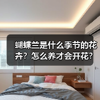 蝴蝶兰是什么季节的花卉？怎么养才会开花？（图2）