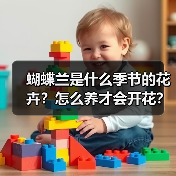 蝴蝶兰是什么季节的花卉？怎么养才会开花？（图4）