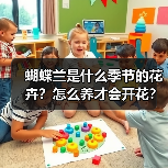 蝴蝶兰是什么季节的花卉？怎么养才会开花？（图1）