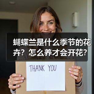 蝴蝶兰是什么季节的花卉？怎么养才会开花？（图3）