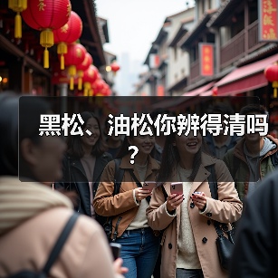 黑松、油松你辨得清吗？（图3）