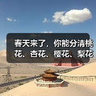春天来了，你能分清桃花、杏花、樱花、梨花、李花吗？（图2）
