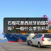 石榴花是西班牙的国花吗？一般什么季节开花？（图2）
