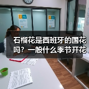 石榴花是西班牙的国花吗？一般什么季节开花？（图3）