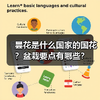昙花是什么国家的国花？盆栽要点有哪些？（图2）