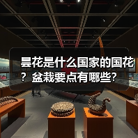 昙花是什么国家的国花？盆栽要点有哪些？（图4）