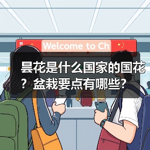 昙花是什么国家的国花？盆栽要点有哪些？（图1）