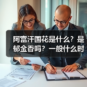 阿富汗国花是什么？是郁金香吗？一般什么时候开花？（图1）