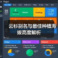 云杉别名与最佳种植海拔高度解析（图4）