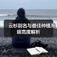 云杉别名与最佳种植海拔高度解析（图2）