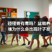碰碰香有毒吗？盆栽养殖为什么会出现叶子发黄现象？（图2）