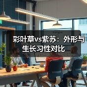 彩叶草vs紫苏：外形与生长习性对比（图2）