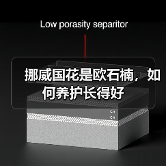 挪威国花是欧石楠，如何养护长得好（图1）