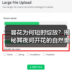 昙花为何短时绽放？揭秘其夜间开花的自然奥秘与生存策略（图2）