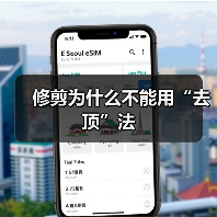 修剪为什么不能用“去顶”法（图4）