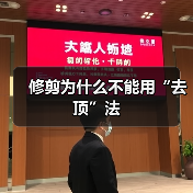 修剪为什么不能用“去顶”法（图3）