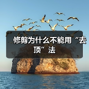 修剪为什么不能用“去顶”法（图2）