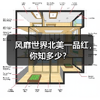 风靡世界北美一品红，你知多少？（图2）