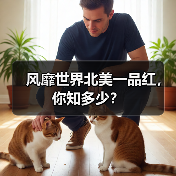 风靡世界北美一品红，你知多少？（图3）
