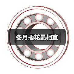 冬月插花最相宜（图3）