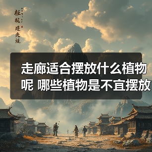 走廊适合摆放什么植物呢 哪些植物是不宜摆放在走廊(图)（图4）