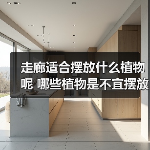 走廊适合摆放什么植物呢 哪些植物是不宜摆放在走廊(图)（图3）