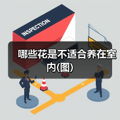 哪些花是不适合养在室内(图)(图2) 哪些花是不适合养在室内(图)(图2)