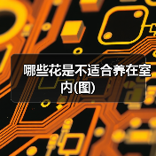 哪些花是不适合养在室内(图)(图3) 哪些花是不适合养在室内(图)(图3)