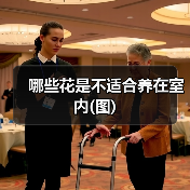 哪些花是不适合养在室内(图)(图4) 哪些花是不适合养在室内(图)(图4)