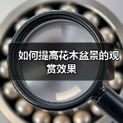 如何提高花木盆景的观赏效果（图2）