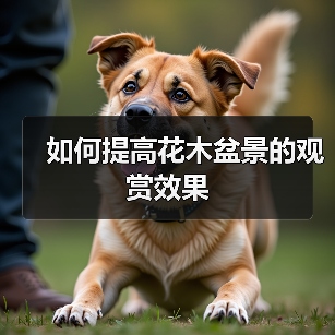 如何提高花木盆景的观赏效果（图3）