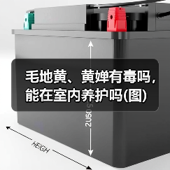 毛地黄、黄婵有毒吗，能在室内养护吗(图)（图3）