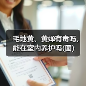 毛地黄、黄婵有毒吗，能在室内养护吗(图)（图4）