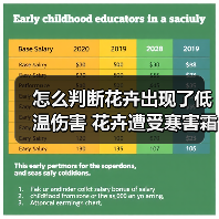 怎么判断花卉出现了低温伤害 花卉遭受寒害霜害冻害怎么办(图)（图4）