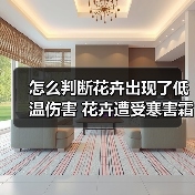 怎么判断花卉出现了低温伤害 花卉遭受寒害霜害冻害怎么办(图)（图2）