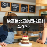 埃塞俄比亚的国花是什么?(图)（图4）