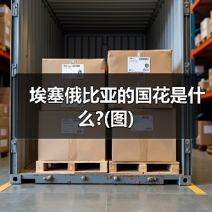 埃塞俄比亚的国花是什么?(图)（图1）