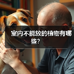 室内不能放的植物有哪些？（图3）